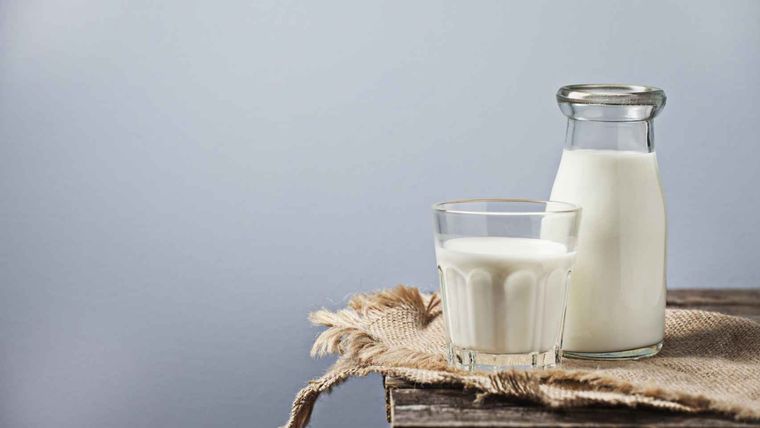 Además de las propiedades para la salud humana, la leche es un fungicida natural. Foto: Shutterstock
