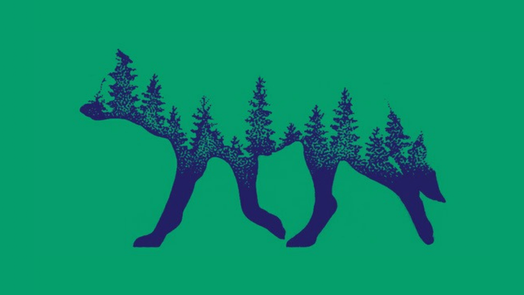 Test de personalidad