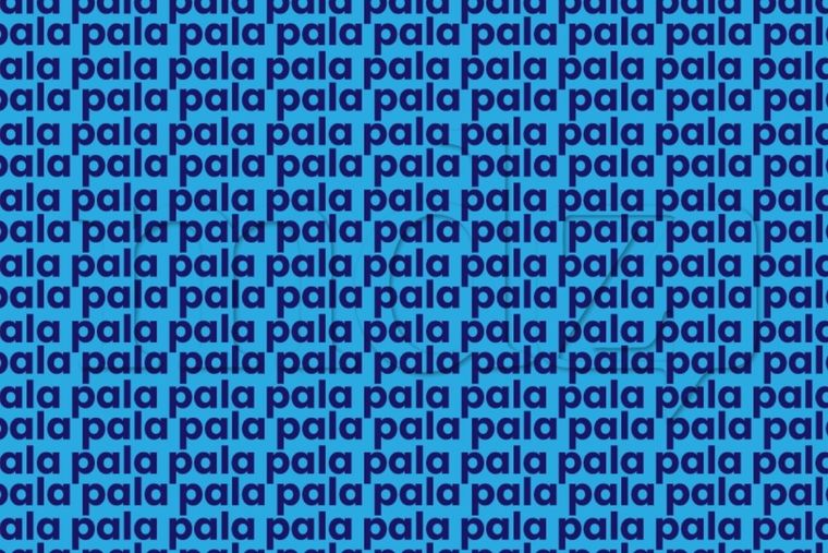 Acertijo visual Acertijo visual, Reto visual, Palabra Foto: MDZ Online