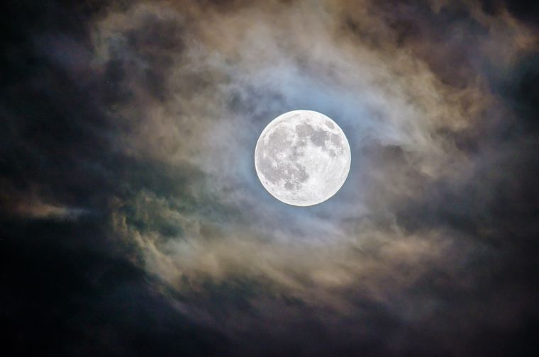 ¿Qué es la luna del castor y cuándo es? La luna del castor se da en el mes de noviembre. Foto: Freepik