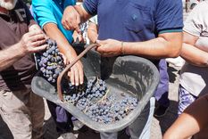 El gobernador minimizó la crisis para los productores vitivinícolas y los derivó a la Secretaría de Agricultura.&nbsp;