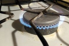 Foto: ALF PONCE MERCADO / MDZ