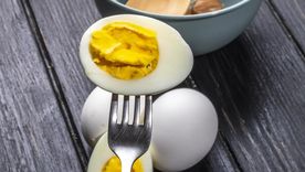 Bien cocido y sin sal ni condimentos, el huevo aporta proteínas y vitaminas clave a tu perro. Foto: Shutterstock Bien cocido y sin sal ni condimentos, el huevo aporta proteínas y vitaminas clave a tu perro. Foto: Shutterstock