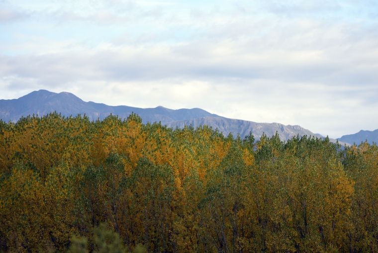 El Servicio Meteorológico Nacional anticipó las tendencias del otoño 2026 en Mendoza a partir de su pronóstico trimestral.