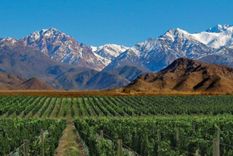 Un nuevo Malbec llega desde la Patagonia Argentina