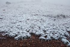 postal inusual: en pleno febrero, nevo en potrerillos