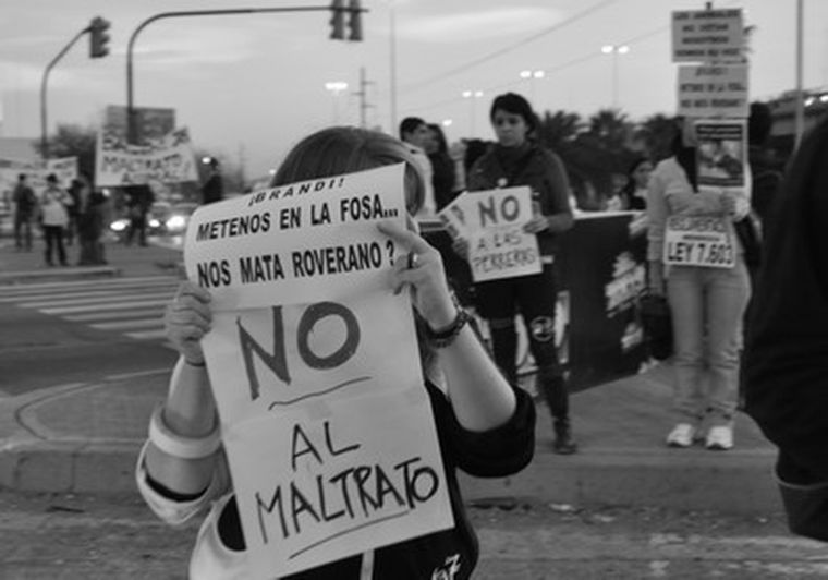 ONGs y ciudadanos participaron juntos de la protesta.