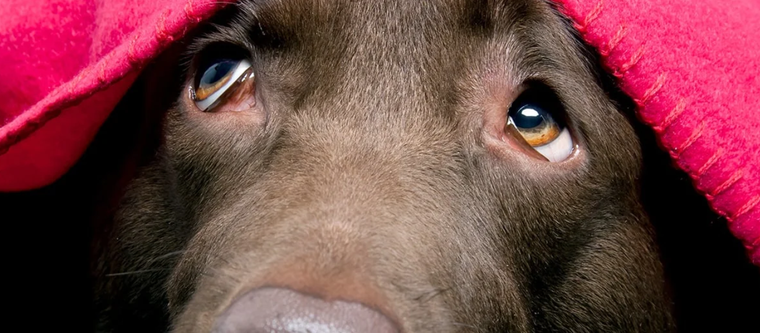 Foto: farmersalmanac.com