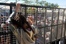 Foto: Ulises Naranjo.