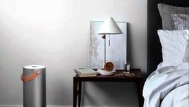 Un purificador de aire es sin duda la forma más eficaz de mejorar la calidad del aire en casa. Foto: Molekule