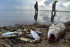 El daño ambiental en la laguna es más que evidente. Foto: LaVerdad.