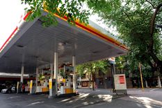 Foto: ALF PONCE MERCADO / MDZ