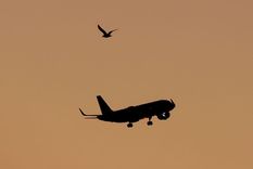 Los vuelos más destacados y baratos con una función de Google. Los vuelos más destacados y baratos con una función de Google.