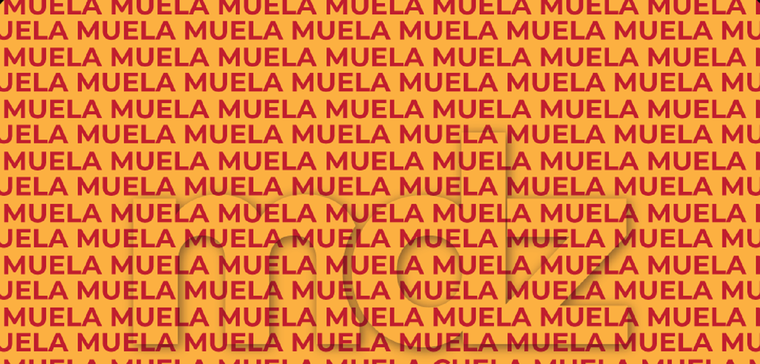 A veces, lo que más importa está escondido en lo cotidiano. Y para encontrarlo, lo único que hace falta es frenar un poco, respirar hondo y volver a mirar.