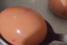 Tu fertilizante Perfecto. Foto: Fuente: Imagen - Tiktok @lasplantasdelabello