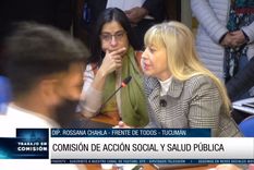 Sesión en vivo de Diputados Foto: Captura