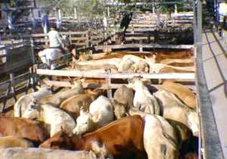 Foto: web