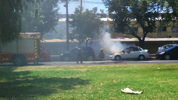 Foto: Gentileza lector MDZ