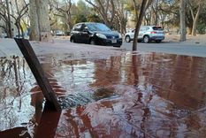 El robo de medidores es un fenómeno que hace años se da en las calles de Mendoza El robo de medidores es un fenómeno que hace años se da en las calles de Mendoza