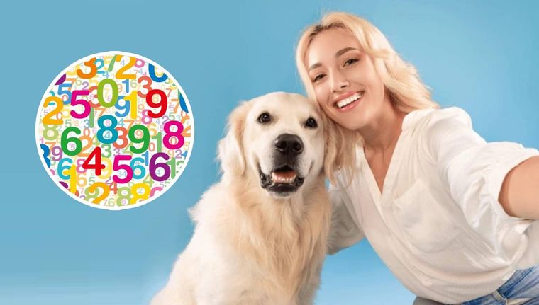 ¿Qué raza de perro se acomoda más a tu personalidad? (Shutterstock)