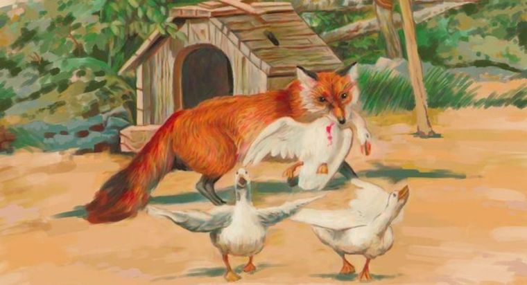 Acertijo visual, reto visual, animal