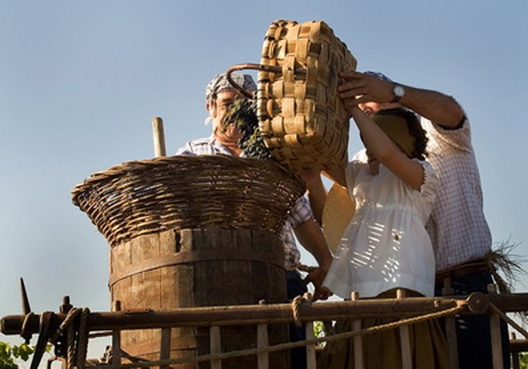 Vendimia en España.