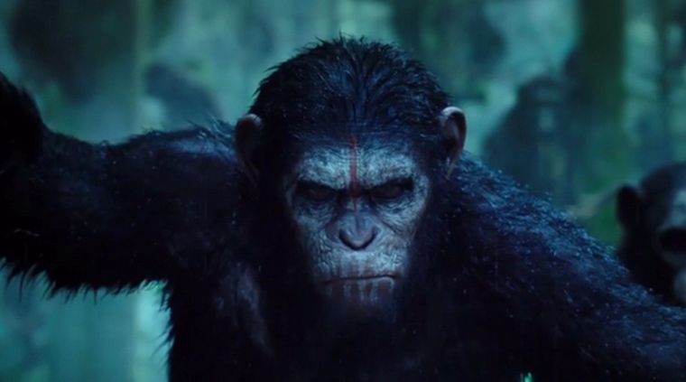 Foto: Captura de video