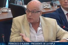 diputados avanza en la modificacion del codigo penal