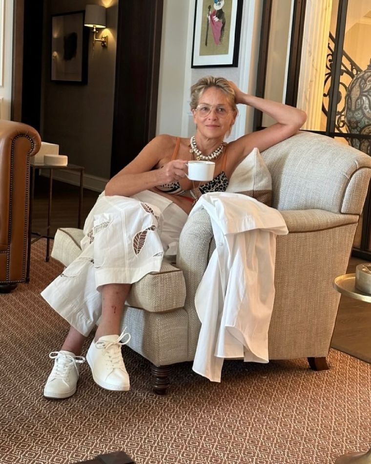 Sharon Stone Diosa a los 66. Foto: Fuente: Shutterstock