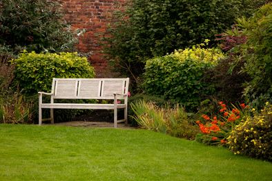 MDZol | Un jardín de verano, colorido y saludable, es posible de lograrlo siguiendo algunas recomendaciones básicas, como un buen riego. Foto: Freepik