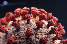 La OMS en alerta por una nueva subvariante del Covid que llaman Frankestein y que ya registra casos en Sudamérica.