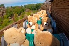 22 osos de peluche se divierten en una montaña rusa de un parque