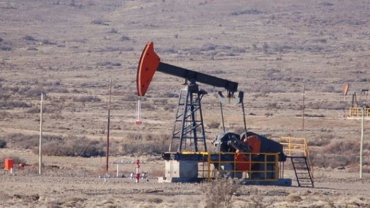 Todavía queda un largo camino por recorrer en un sector donde el diablo está en los detalles. Foto: MDZ