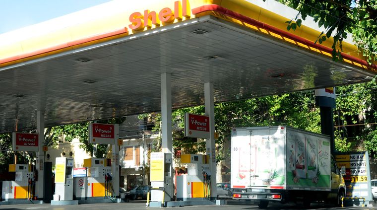 Foto: Pachy Reynoso/MDZ