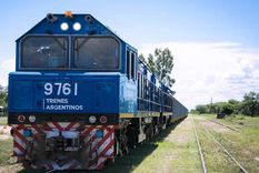 El Gobierno busca iniciar formalmente el proceso de privatización del Belgrano Cargas