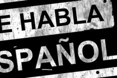 insolito: diputado quiere declarar el castellano como idioma oficial de la argentina