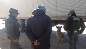 Minos, el perro antinarcóticos de Gendarmería que detectó los 40 kilos de pasta base en un camión proveniente de Bolivia