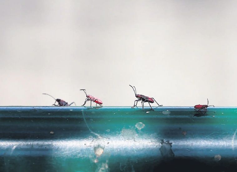 Foto: Publicada por Lun.com