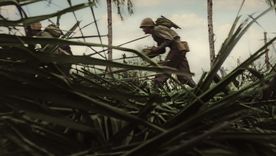 La miniserie cuenta con 6 episodios.&nbsp;