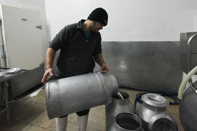 MDZol | La cadena de valor láctea puede instalarse como un jugador de envergadura y para eso debe intrernacionalizarse. Foto: Juan Ignacio Blanco/MDZ