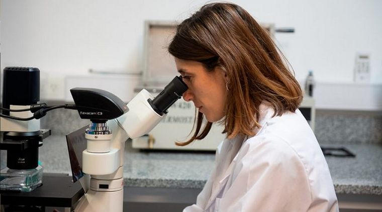Julieta Merlo, investigadora del CONICET, obtuvo una beca para desarrollar un stent cardiovascular capaz de desintegrarse cuando el cuerpo ya no lo necesita. Foto: Conicet