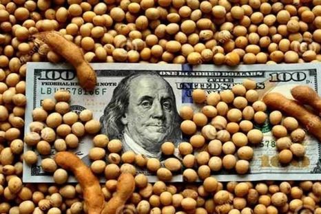 El complejo sojero es el principal generador de divisas en el país, con más del 40% de las exportaciones agroindustriales. El complejo sojero es el principal generador de divisas en el país, con más del 40% de las exportaciones agroindustriales.