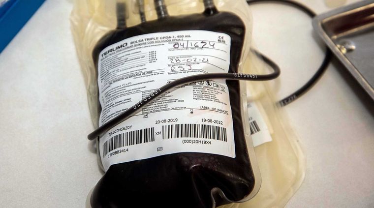 Cuáles son las nuevas normas para donar sangre en Argentina. Cuáles son las nuevas normas para donar sangre en Argentina.