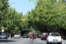 Foto: ALF PONCE / MDZ Foto: ALF PONCE / MDZ