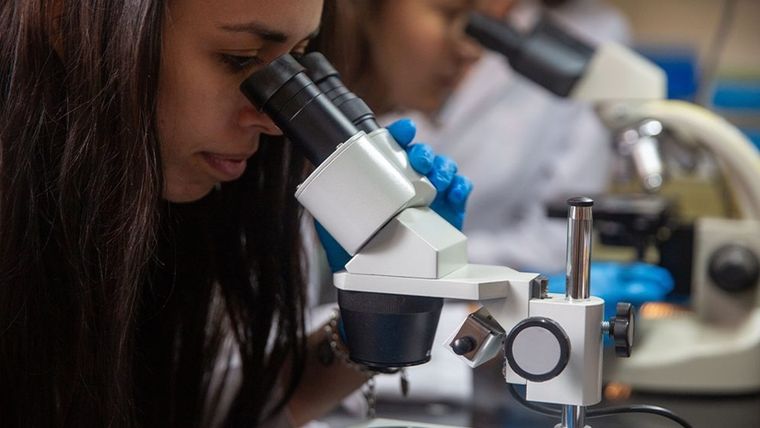 El trabajo busca dar herramientas para el diseño de estrategias que sirvan para enfrentar esta problemática Foto: Conicet