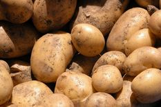 los consumidores pagaron 5,11 veces mas de lo que cobro el productor