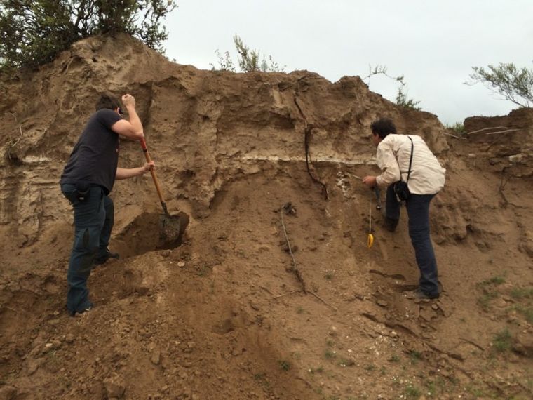 El antiguo río Zonda dejó huellas bajo el suelo mendocino y aporta información valiosa sobre el agua, el clima y la geografía del pasado. El antiguo río Zonda dejó huellas bajo el suelo mendocino y aporta información valiosa sobre el agua, el clima y la geografía del pasado.