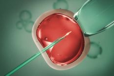 El tratamiento de congelamiento de óvulos es una técnica de reproducción asistida que cada vez se utiliza más. Foto: Shutterstock.