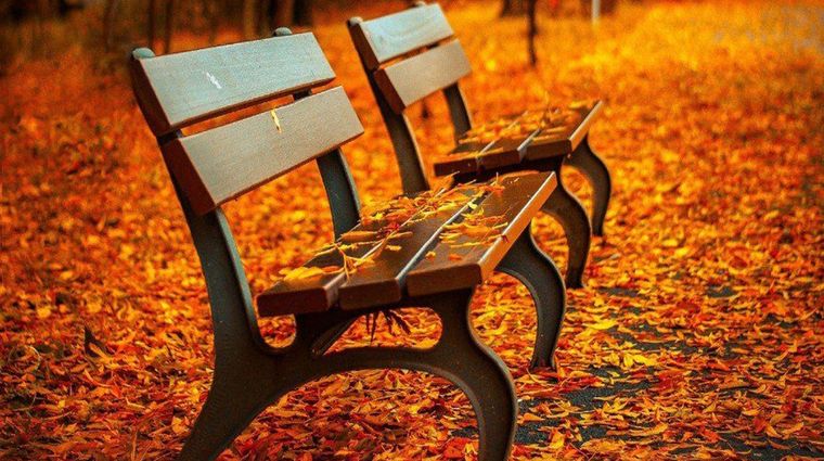 Se acerca el equinoccio de otoño y esto es lo que tenés que saber Foto: Shutterstock