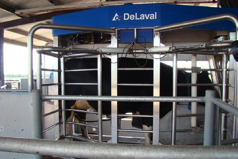 La empresa decidió despedir personal y lo hizo de una manera poco convencional